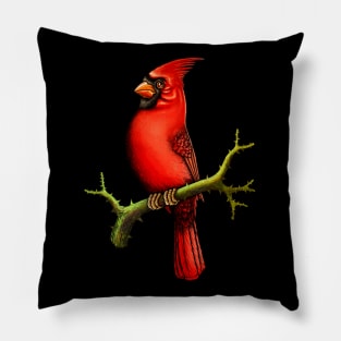 Red Cardinal bird cute cardinal cardinal lover Pillow