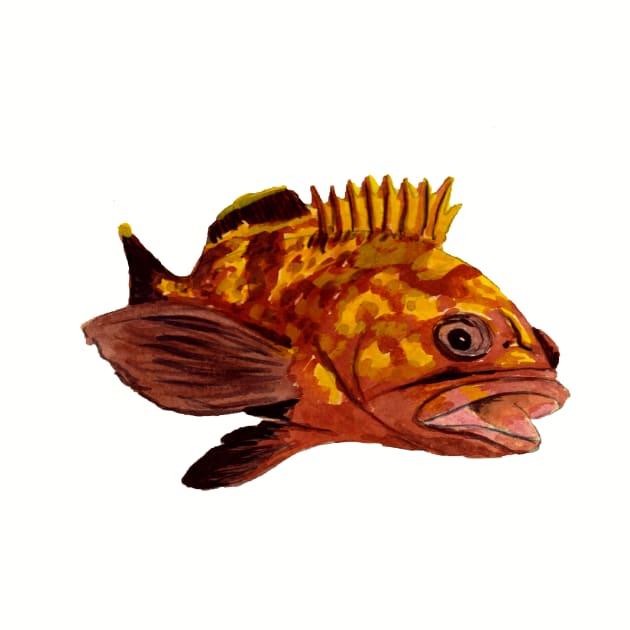 grouper - fish by Zamen