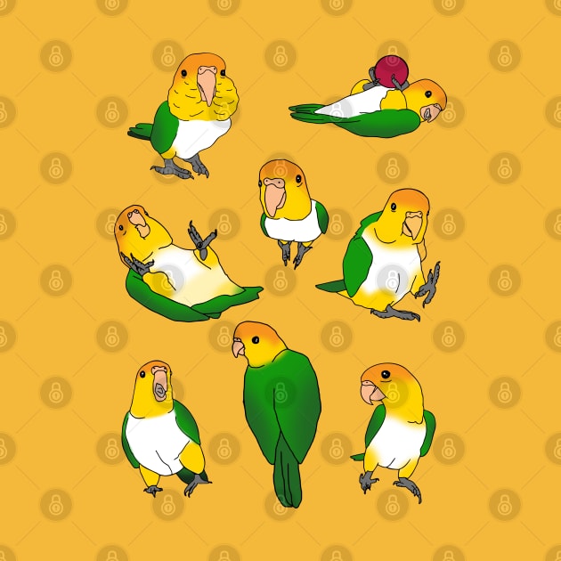 caique doodle pattern by FandomizedRose