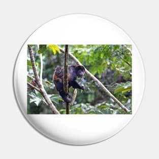 Howler monkey and baby Pin
