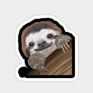 Cute and Colourful Baby Sloth Magnet