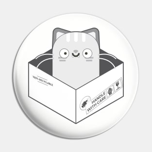 The Cat in the Box II Pin