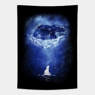 Starry Frozen Sky Tapestry