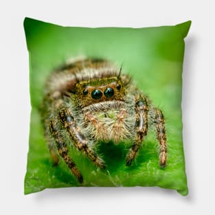 Jumping Spider on a Green Leaf. Macro Photography Pillow