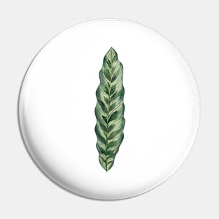 Simple Calathea Leaf Pin