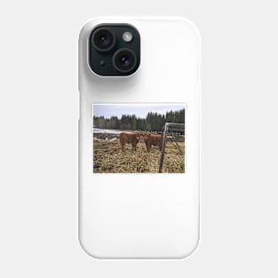 Scottish Highland Cattle Calves 1746 Phone Case