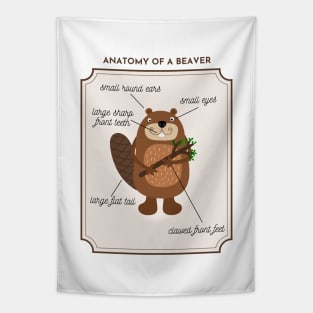 Anatomy of a Beaver Tapestry