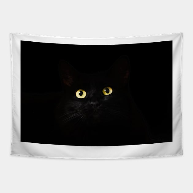 Black Cat in Darkness Tapestry by kawaii_shop