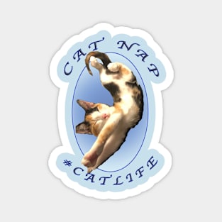 Cat Nap Magnet