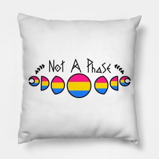 Not A Phase- Pansexual Pillow