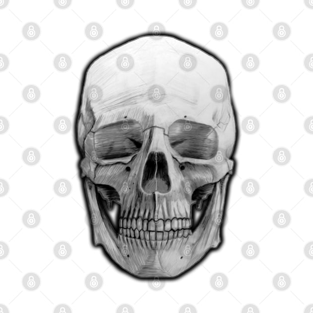 Skull Drawing Design by SPACE ART & NATURE SHIRTS 