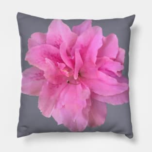 Pink Azalea Flower Close-up Pillow