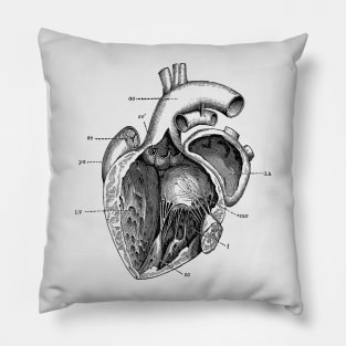 Internal Human Heart Diagram - Anatomy Poster Pillow