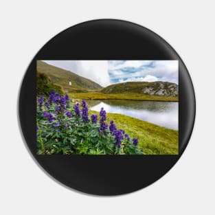 Mountain flowers by a glacial lake Pin