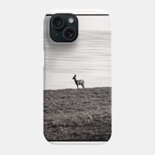 A Roe Deer crossing a field - Mull of Galloway, Scotland Phone Case