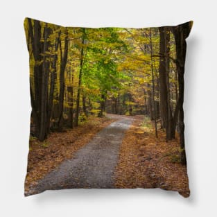 Through The Woods Pillow