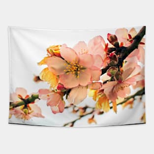 Blossom  branches Tapestry