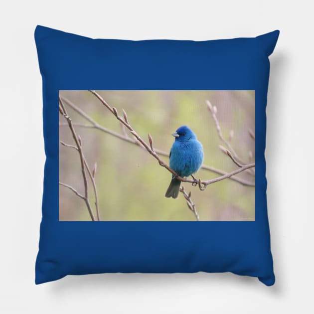 Indigo, Bunting No.2 Pillow by MaryLinH