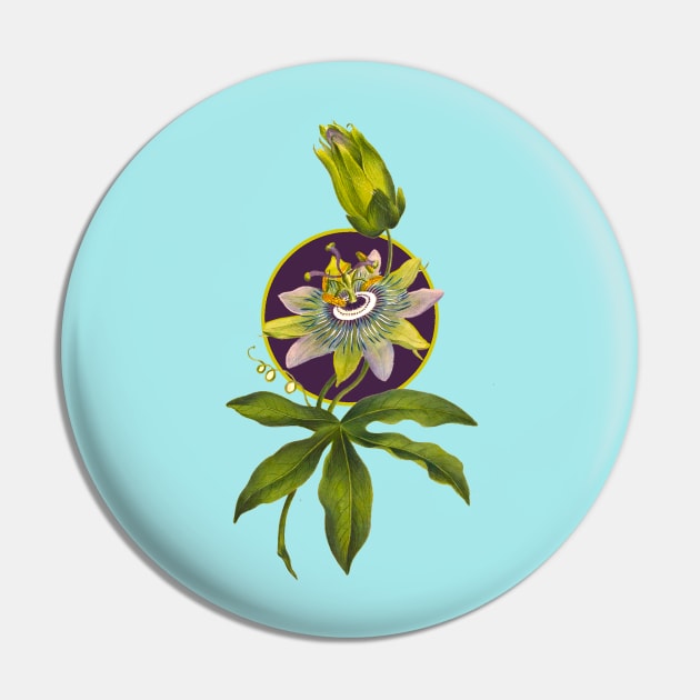 Passion fruit flower Pin by Marccelus