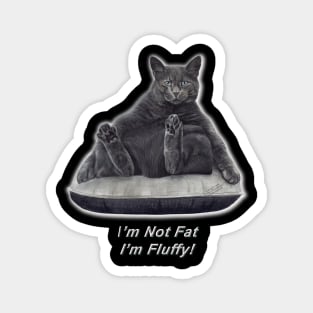 FELIX THE CAT -  I'M NOT FAT I'M FLUFFY Magnet