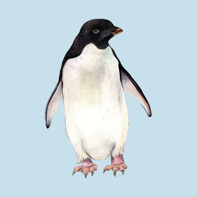 Adelie Penguin by IndiasIllustrations