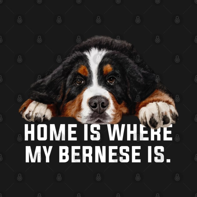 Bernese mountain dog by Bernesemountaindogstuff