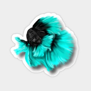 Illustrated Black and Teal Betta Fish Magnet