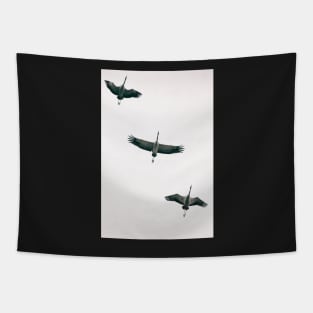 Three Common Cranes Flying in Midair From Below Tapestry