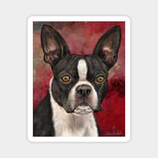 Painting of Black and White Boston Terrier on Burgundy Background Magnet