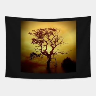 Evening Tree Tapestry