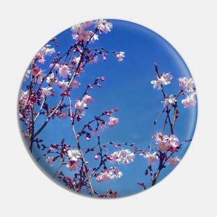 Cherry Blossom Branches Pin