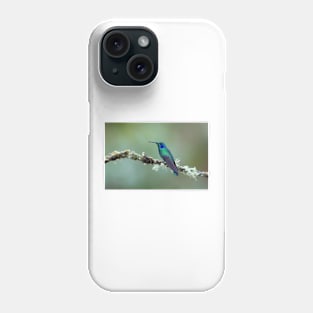 Green Violetear Hummingbird - Costa Rica Phone Case