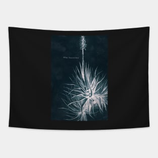 Cyanotype - Aloe Socotrina - C Tapestry