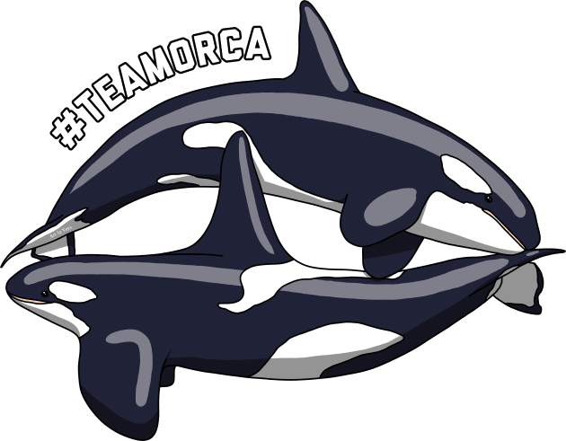 Team Orca Kids T-Shirt by Art by Veya