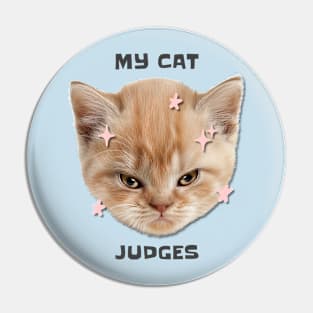 Funny Grumpy Cat Pin