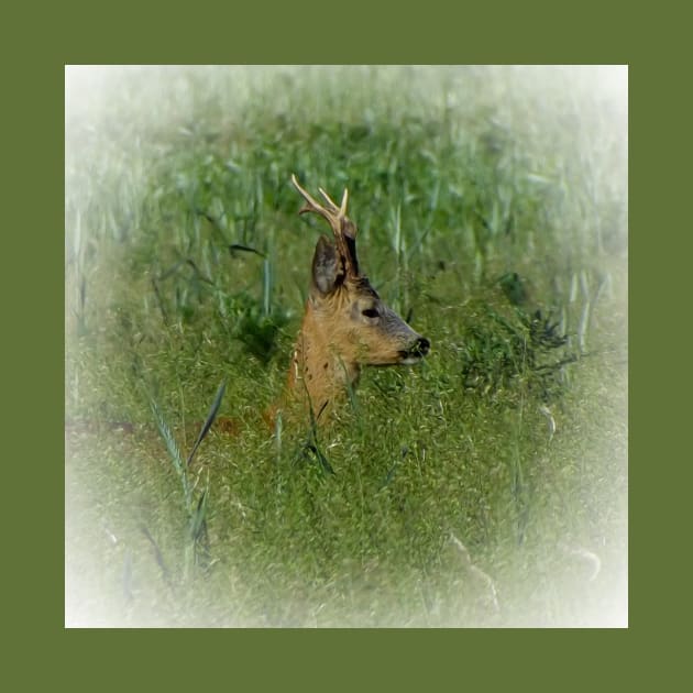 Roe deer by Guardi