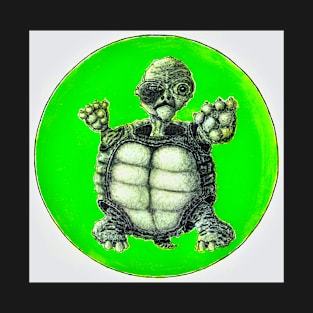 Brawling Turtle T-Shirt