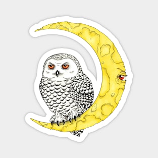 Owl and moon Magnet