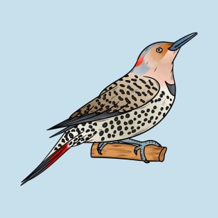 Northern flicker bird cartoon illustration T-Shirt