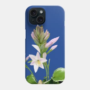 Hosta in Bloom Phone Case