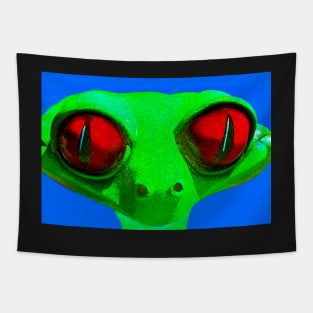 Happy Frog Tapestry