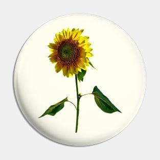Sunflower Standing Tall Pin