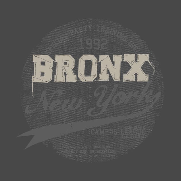 bronx new york by hayr pictures