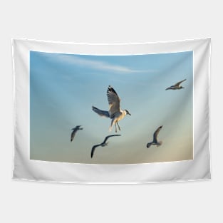 Larus californicus Tapestry