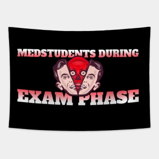 Medstudents During Examphase - Medical Student in Medschool Tapestry