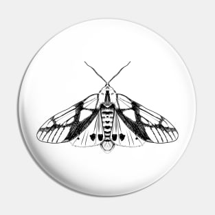 Tiger Moth Pin