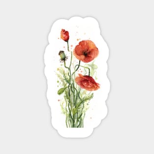 Red Poppies Magnet