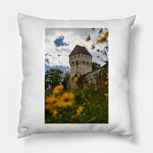 The medieval fortress Pillow