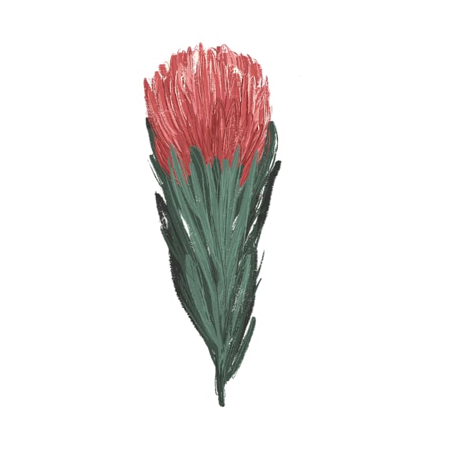 Protea by Xenia_Pike