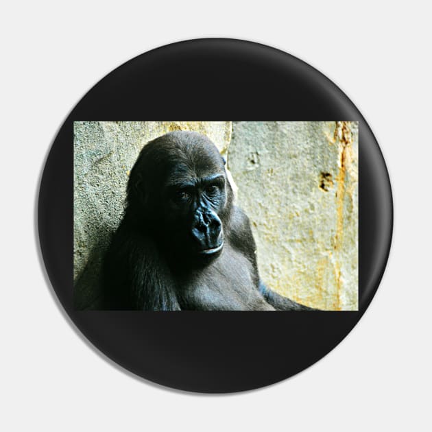 Frankfurt Gorilla Pin by kchase